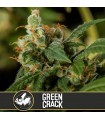 Green Crack - Blimburn Seeds.