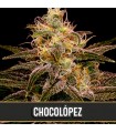 Chocolopez - Blimburn Seeds.