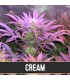 Auto Cream - Blimburn Seeds - Kayamurcia.es