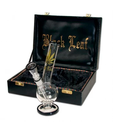 Bong Cristal Caja Black Leaf Hoja Oro 20 cm.