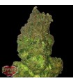 Auto Fruit Punch  3 u. fem. Heavyweight Seeds