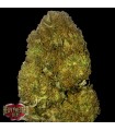 Auto Skunky Monkey 10 u. fem. Heavyweight Seeds
