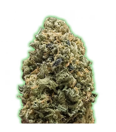 Bruce Banner - Monster Genetics.