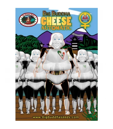 Auto Big Buddha Cheese - Big Buddha Seeds