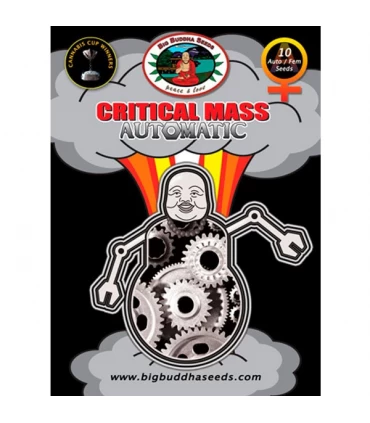 Auto Critical Mass - Big Buddha Seeds