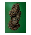 Amnesia Haze - Soma Seeds