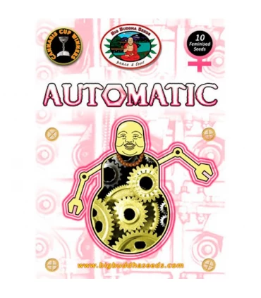 Automatic - Big Buddha Seeds