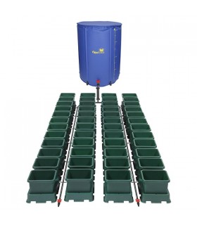 Easy2grow XL  48 - Deposito 400 lts. Green  Autopot  48/72 h.