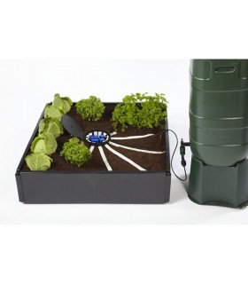Aquabox Spyder/2 Autopot  48/72 h.