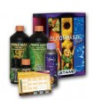 Box Bloombastic Terra Atami B'cuzz