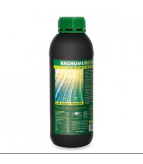 Bachumus Evolution Crecimiento  1 lt. Trabe
