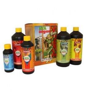 Box Organic Atami B'cuzz