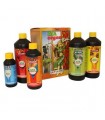 Box Organic Atami B'cuzz