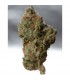 Cold Creek Kush 10 u. reg. T.H. Seeds