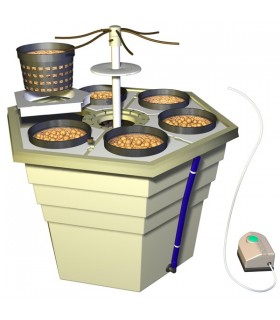 Eco Grower  Max General Hydroponics  48/72 h.