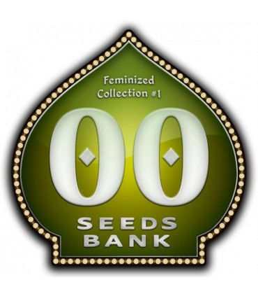 Female Collection 1 - 00 Seeds