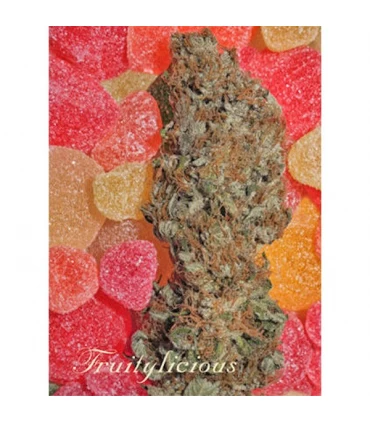 Fruitylicious - Mandala Seeds