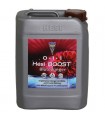Boost  5 lt. Hesi