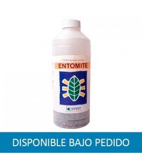 Hypoaspis Miles (Mosca Suelo) (SOLO BAJO PEDIDO)