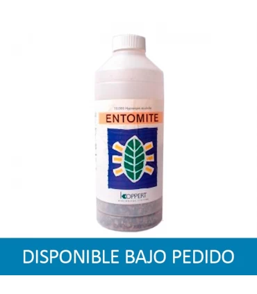 Hypoaspis Miles (Mosca Suelo) (SOLO BAJO PEDIDO)