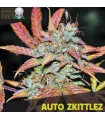 Auto Zkittlez - Black Skull Seeds.