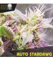 Auto Stardawg - Black Skull Seeds.