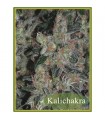 Kalichakra 10 u. reg. Mandala Seeds