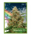 Mandala n1 - 10 u. reg. Mandala Seeds