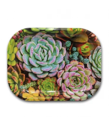 Bandeja Metal 18 x14cm - Suculentas.