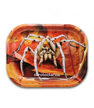 Bandeja Metal 18 x14cm - Araña.