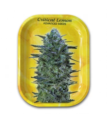 Bandeja Metal 18 x14cm - Critical Lemon.