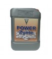 Powerzyme  2.5 lt. Hesi