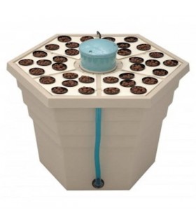 Rainforest 2 2" 220 v General Hydroponics  48/72 h.
