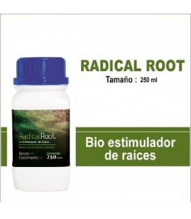 Radical Root   250 ml. Trabe