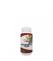 Rootstimulator  Hydro  250 ml. Hy-Pro