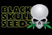 black skull