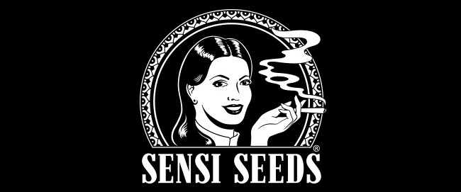 SENSI SEED