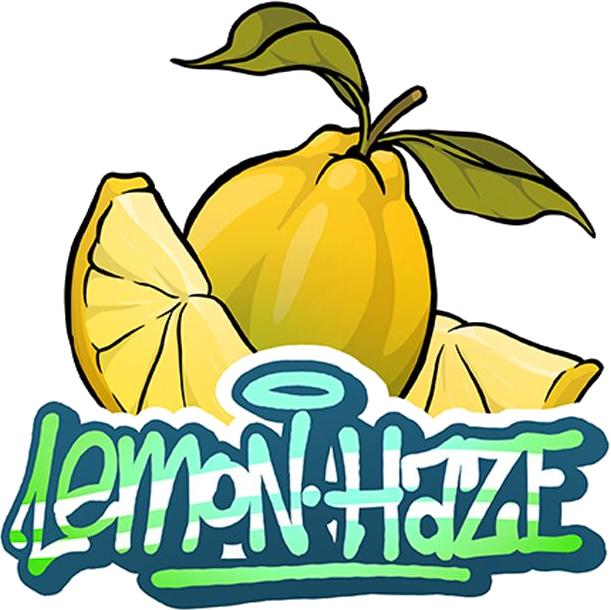 Lemon Haze CBD Flores - Gorilla Grillz.