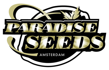 paradise seed