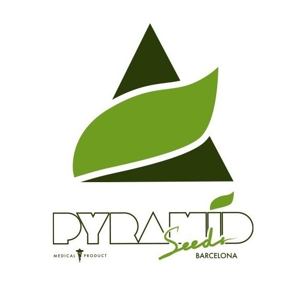 pyramid seed